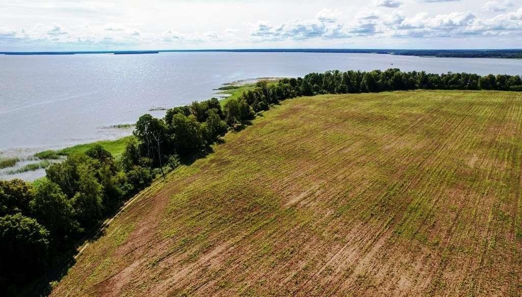 Działka nad Śniardwami z linią brzegową i historią Dybowo  3 000m2 Foto 1