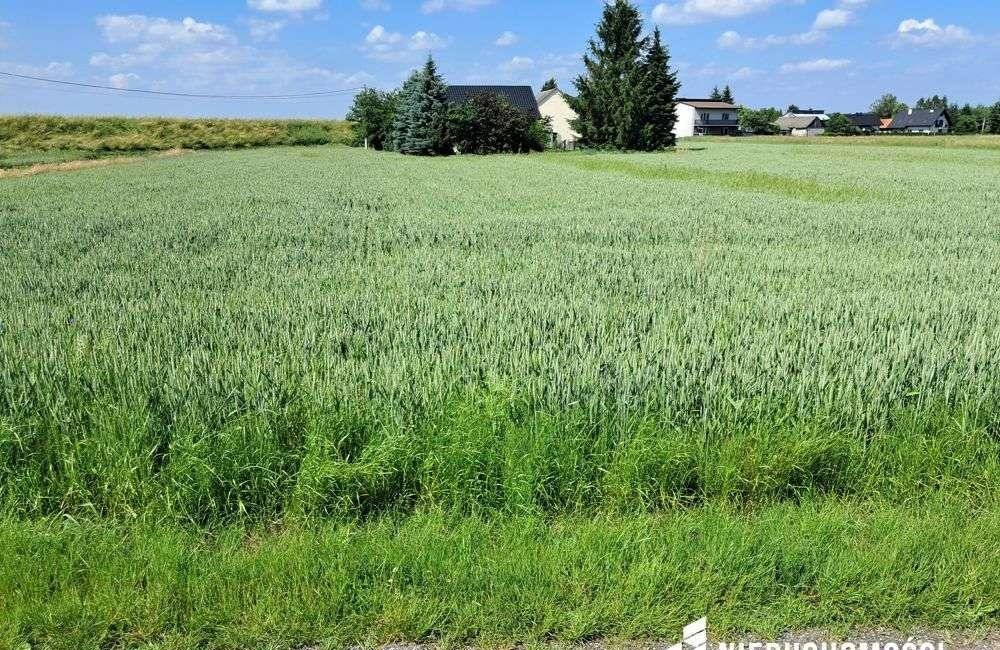 Działka budowlana na sprzedaż Pozowice  3 600m2 Foto 1