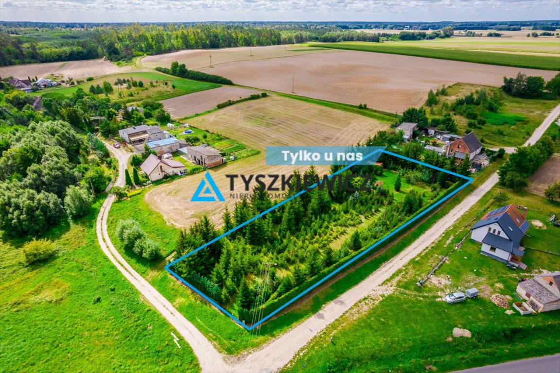 Działka budowlana na sprzedaż Włościbórz  3 000m2 Foto 1