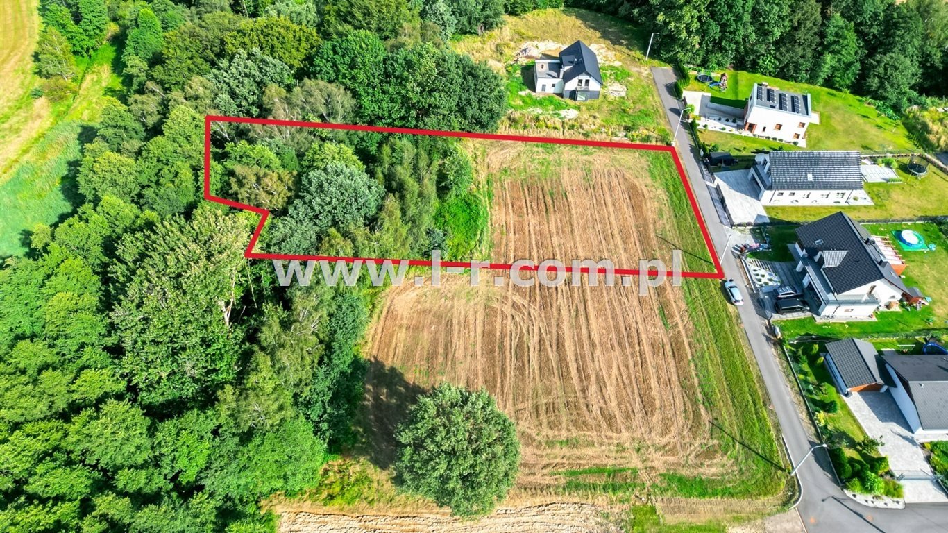 Działka budowlana na sprzedaż Wodzisław Śląski, Kokoszyce  4 401m2 Foto 2