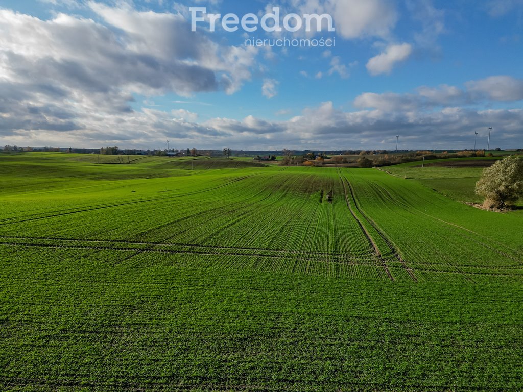 Działka inna na sprzedaż Laseczno, Laseczno Małe  3 001m2 Foto 5