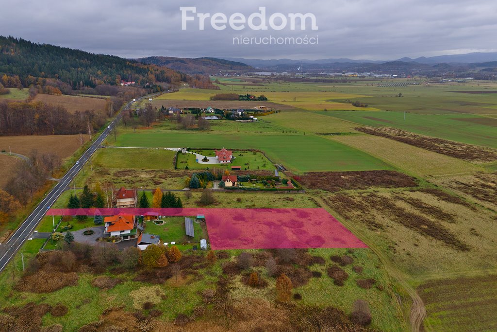 Działka budowlana na sprzedaż Wojcieszyce, Jeleniogórska  4 000m2 Foto 6