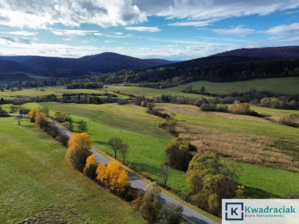 Duże 10,38 ha grunty rolne w Daliowej - inwestycja Daliowa  55 100m2 Foto 1