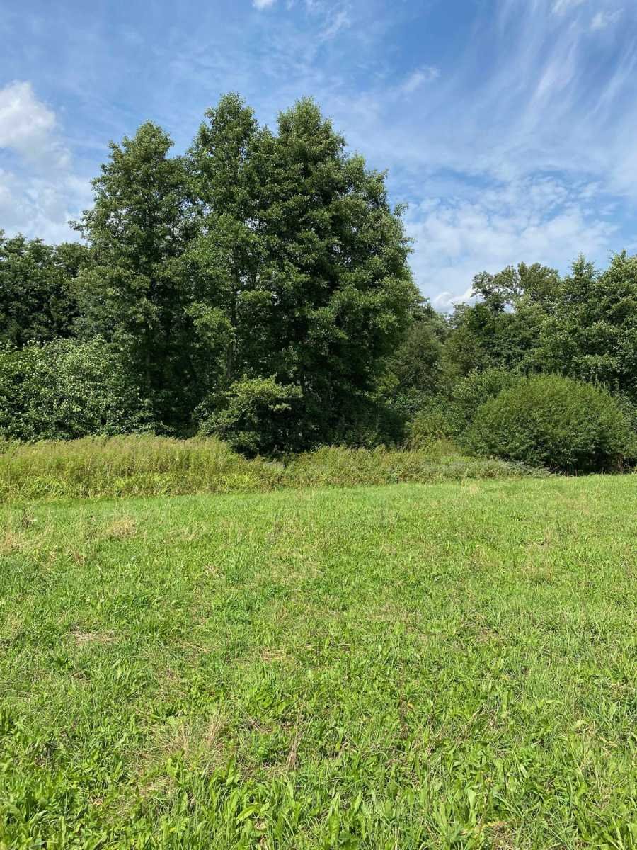 Duża działka z lasem i strumykiem, widok na Góry Bystrzyca Kłodzka  5 600m2 Foto 1