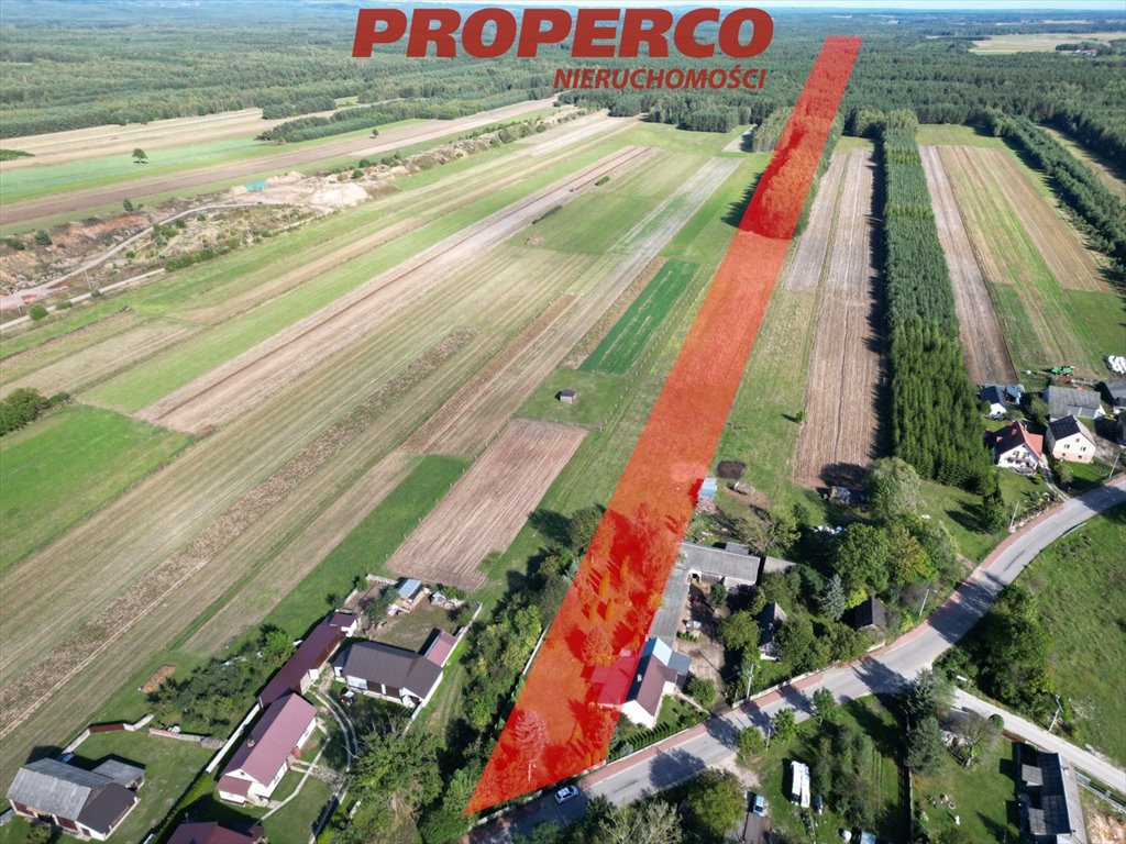 Działka inna na sprzedaż Osiny  25 240m2 Foto 1