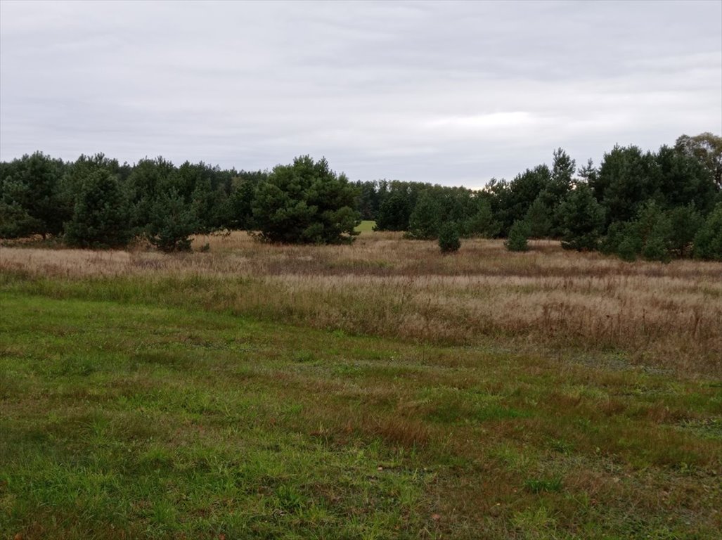 Działka budowlana na sprzedaż Koźle  9 515m2 Foto 5