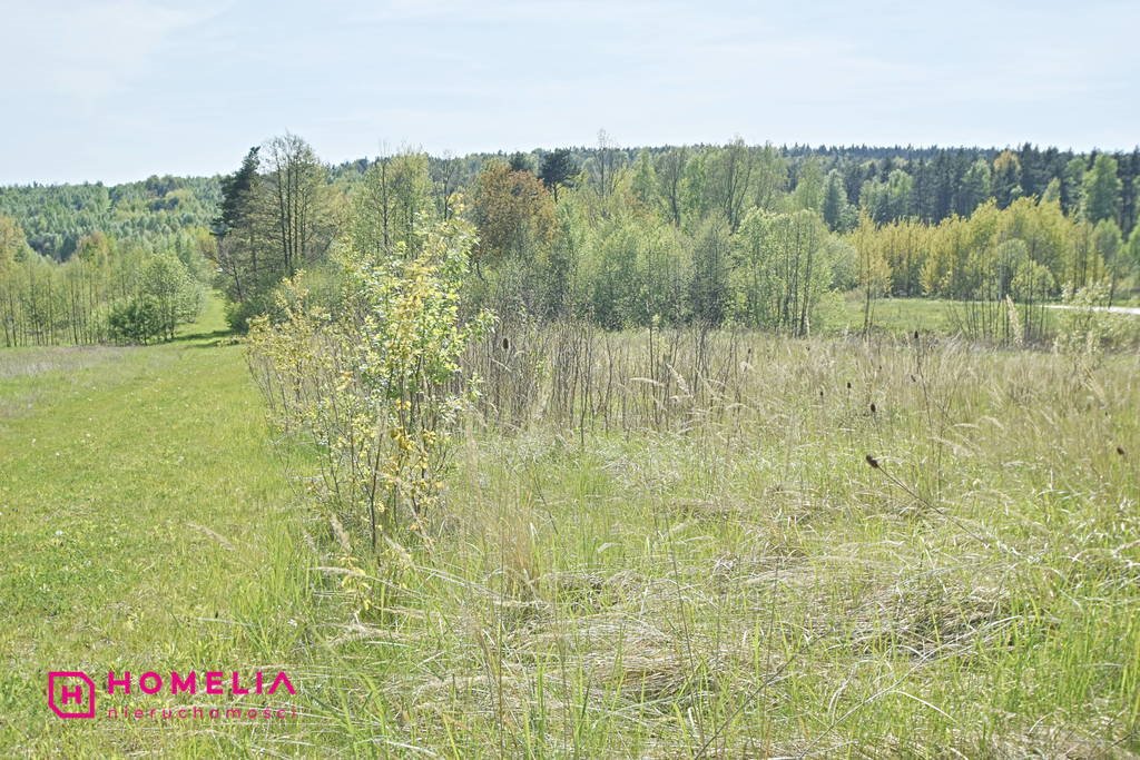 Działka budowlana na sprzedaż Masłów Drugi  1 053m2 Foto 8