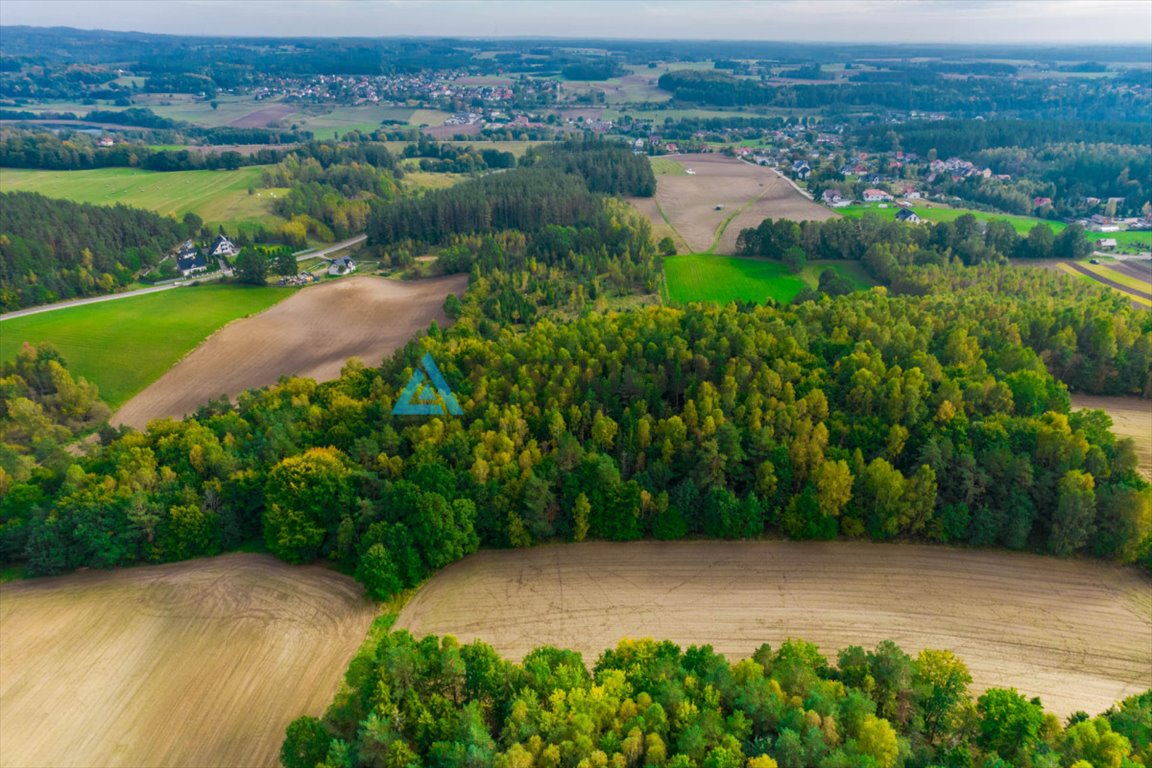 Działka rolna na sprzedaż Gołubie  102 067m2 Foto 4