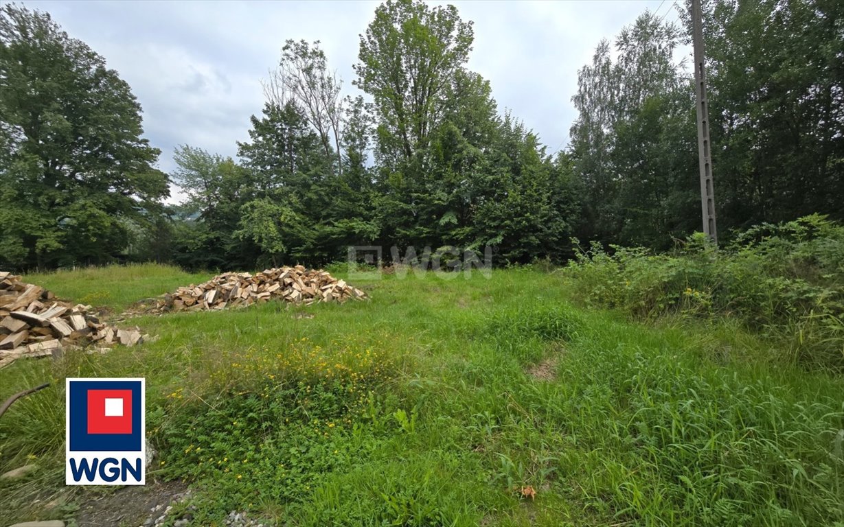 Działka budowlana na sprzedaż Ustroń, Lipowa  2 304m2 Foto 5