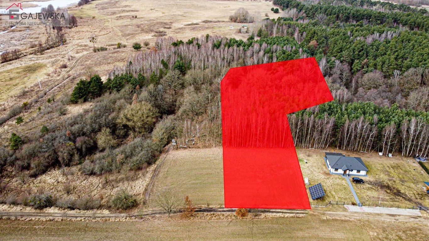 Polecam działkę 6001 m² z warunkami zabudowy i lasem w Kępie Kępa  6 001m2 Foto 1