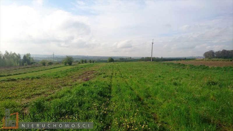 Działka rolna na sprzedaż Zielonki  3 200m2 Foto 2