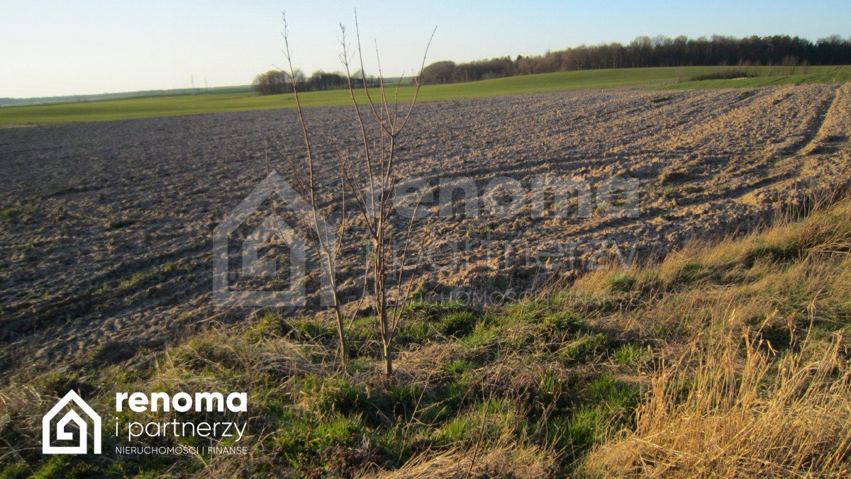 Działka budowlana na sprzedaż Sucha Koszalińska  975m2 Foto 17