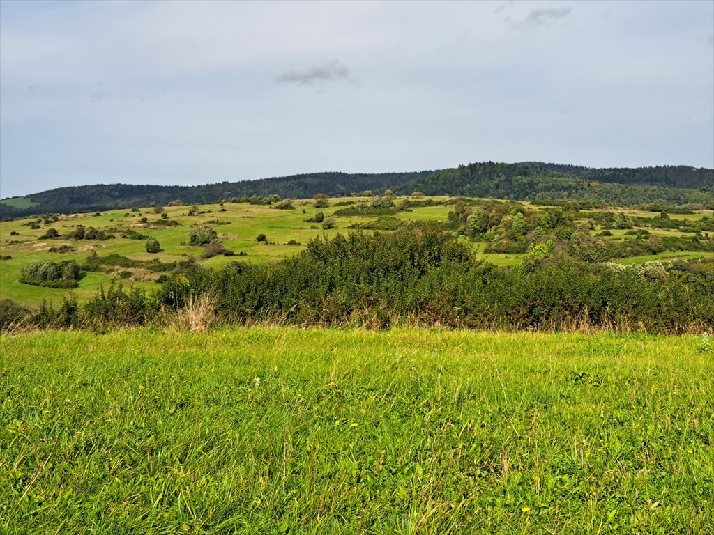 Działka rolna na sprzedaż Posada Jaśliska  9 900m2 Foto 15