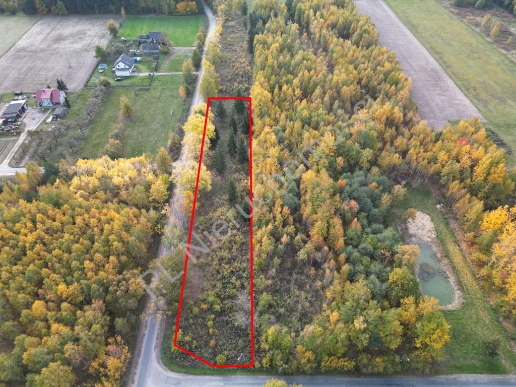 Działka budowlana na sprzedaż Oddział  2 602m2 Foto 7