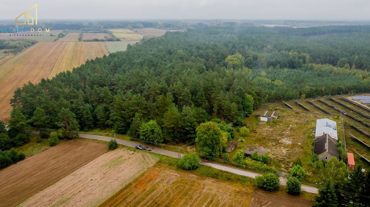 Działka budowlana na sprzedaż Milejczyce  5 391m2 Foto 5