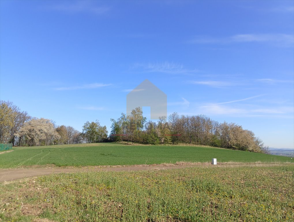 Działka 1400 m² wśród natury, blisko centrum Bielawy polecam Bielawa  1 400m2 Foto 1