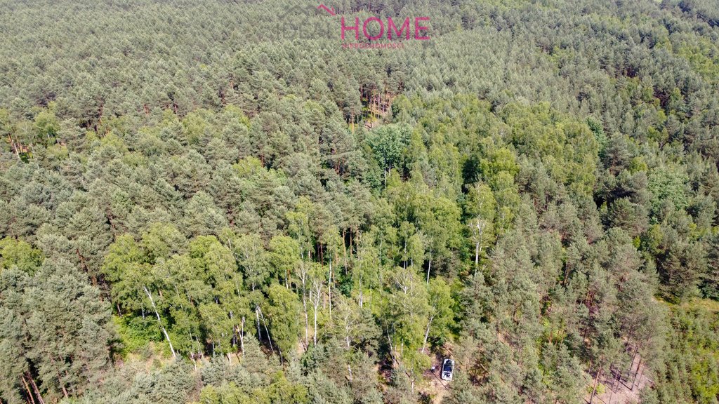 Działka leśna na sprzedaż Stary Rusinów, Rusinów  8 940m2 Foto 4