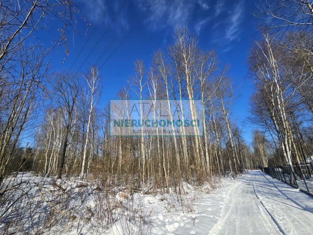 Polecam dużą działkę 3128 m² z zielonym ogrodem i mediami Budy Michałowskie  3 128m2 Foto 1