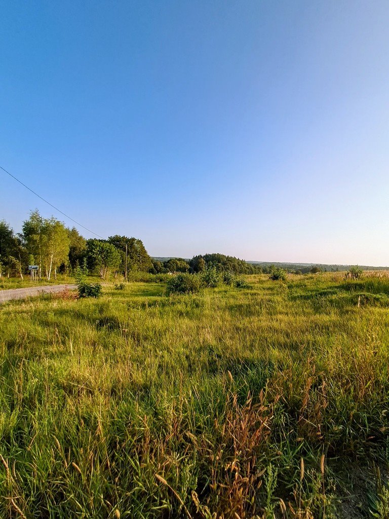 Działka przemysłowo-handlowa na sprzedaż Maks  7 280m2 Foto 4