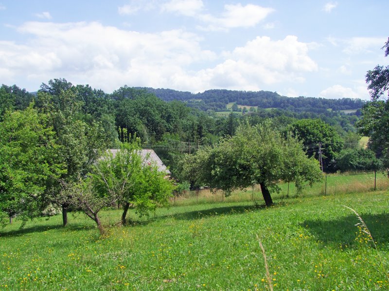 Działki budowlane w górach - 900 m² blisko lasu Dzięgielów  900m2 Foto 1