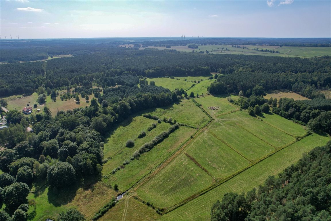 Działka budowlana na sprzedaż Lękwica  14 600m2 Foto 4