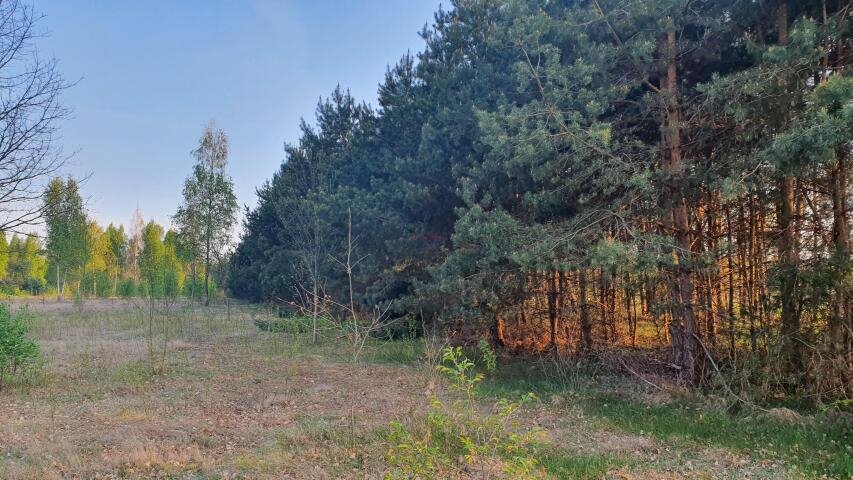 Na sprzedaż działka z dostępem do rzeczki i mediami w Mirowicach Mirowice, Mirowice  4 089m2 Foto 1