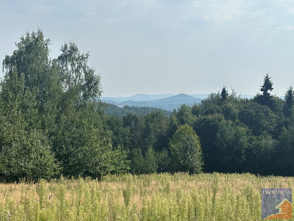 Działka budowlana na sprzedaż Stare Rybie  900m2 Foto 3