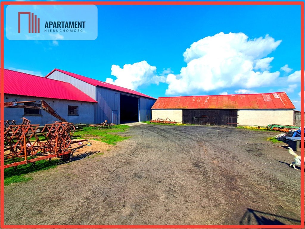 Sprzedaż gospodarstwa 33 ha z halą i parkiem maszynowym Rogalin  335 000m2 Foto 1