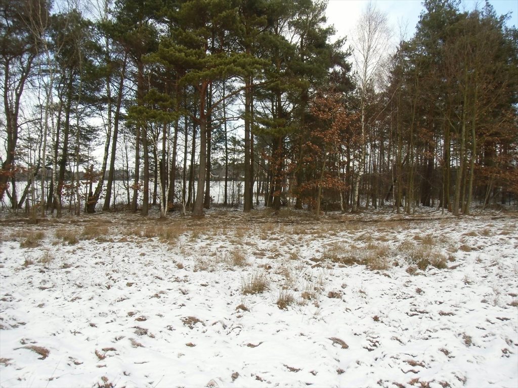Działka budowlana na sprzedaż Dobrzewino, Ratanowa 1 448m2 Foto 1 Działka budowlana na sprzedaż Dobrzewino, Ratanowa 1 448m2 Foto 1