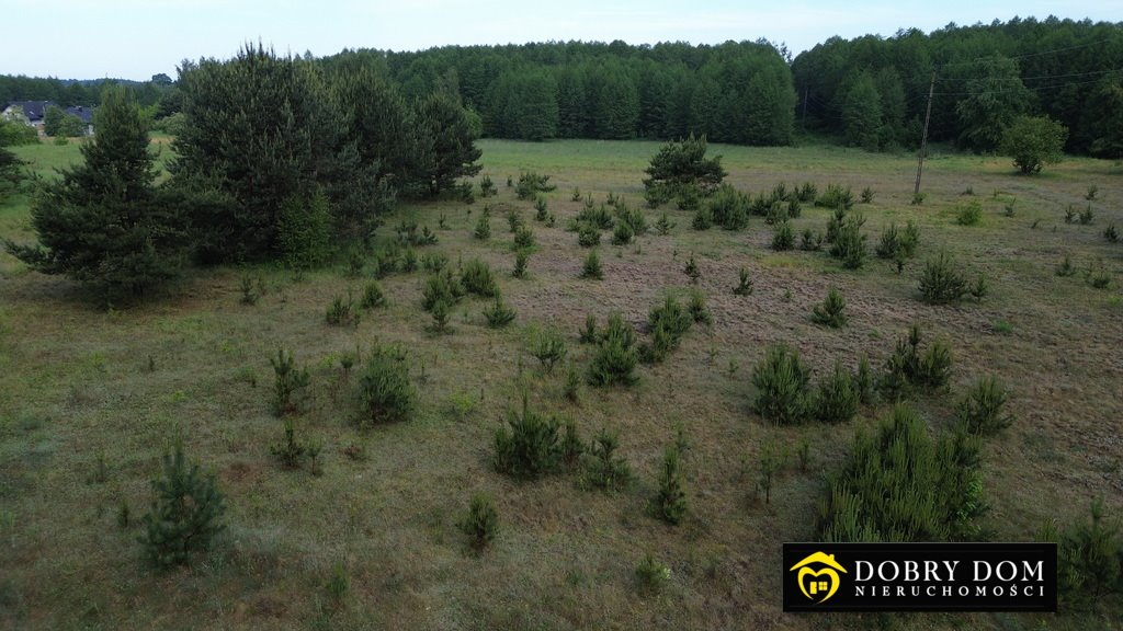 Działka rolna na sprzedaż Klepacze  2 757m2 Foto 14