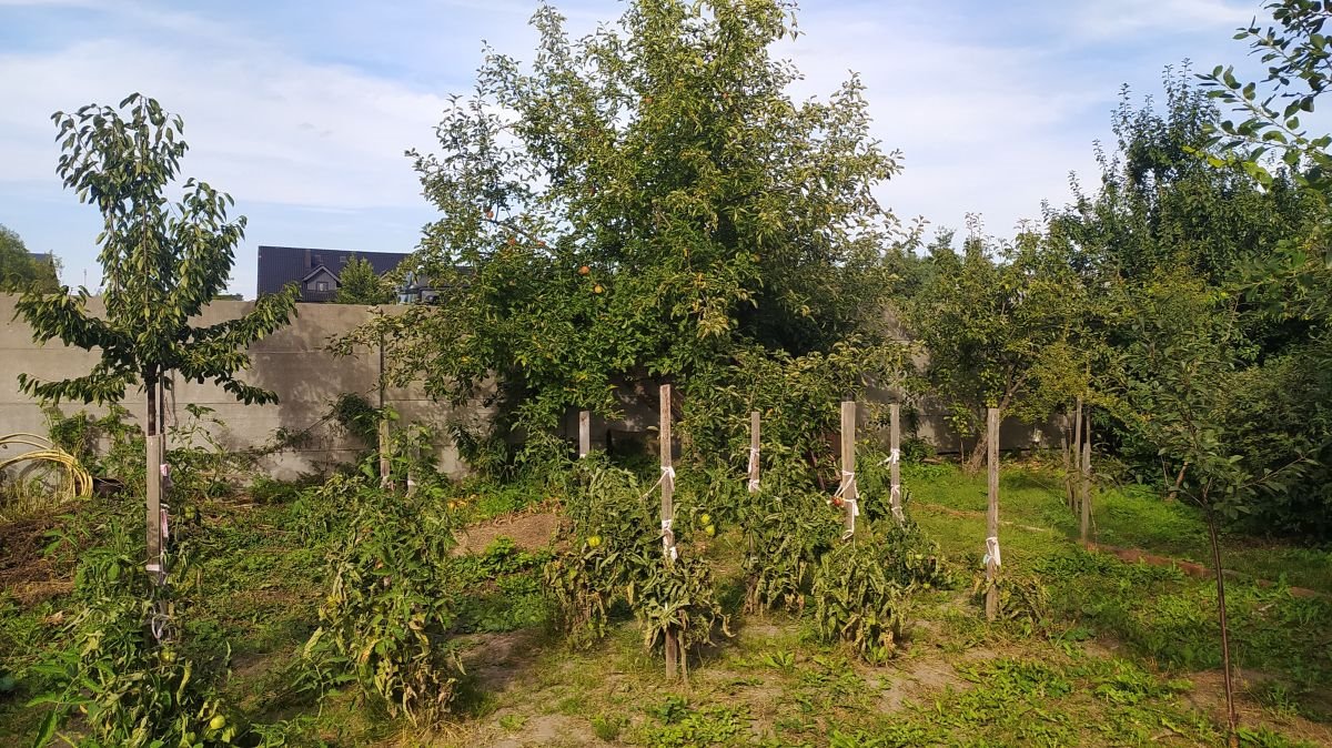 Dom na sprzedaż Murowana Goślina, Murowana Goślina - centrum  200m2 Foto 15