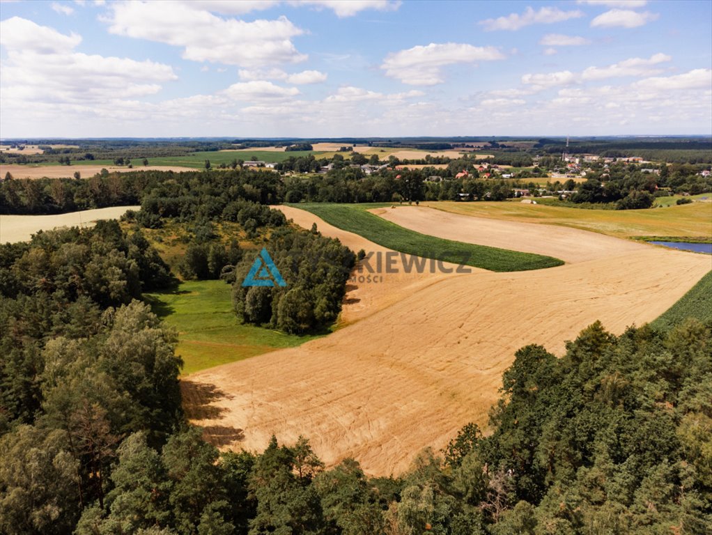 Działka rolna na sprzedaż Czarna Dąbrówka, Kaszubska  30 100m2 Foto 8