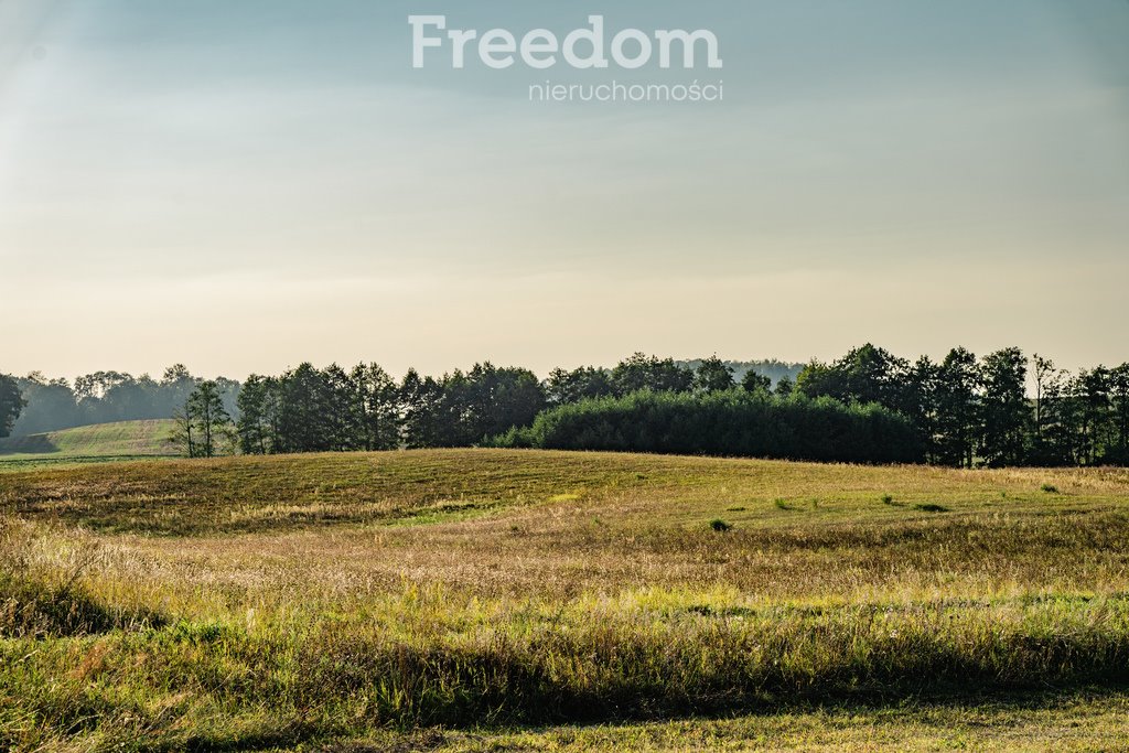 Działka budowlana na sprzedaż Wronka  1 000m2 Foto 8