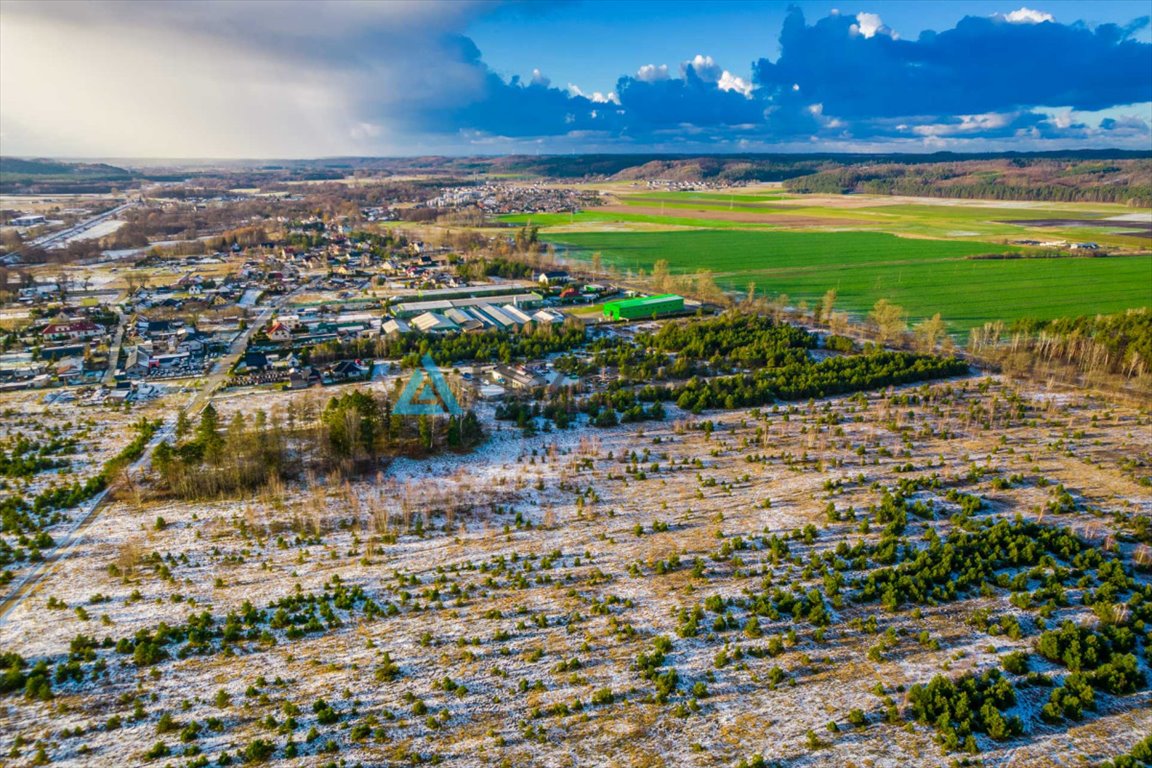 Działka przemysłowo-handlowa na sprzedaż Bożepole Małe  36 800m2 Foto 4