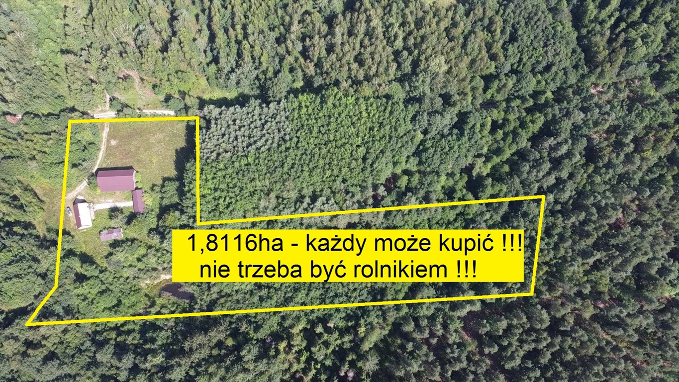 Dom na sprzedaż Dziewiątle  50m2 Foto 6