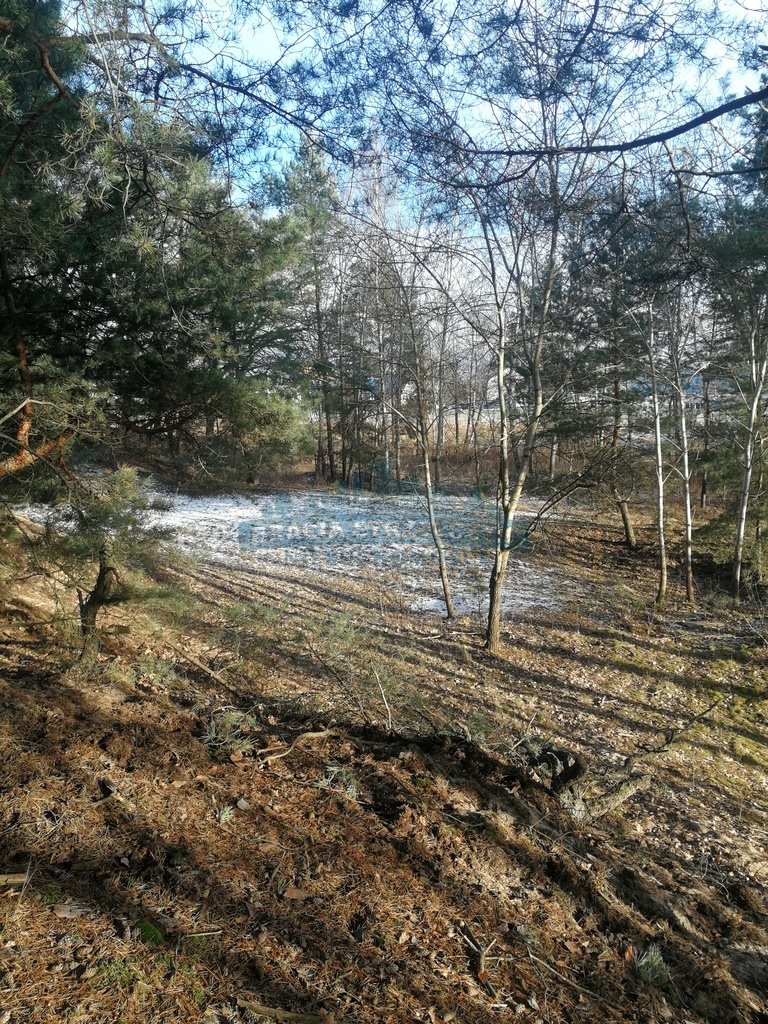 Działka leśna na sprzedaż Izabelin-Dziekanówek  17 000m2 Foto 2
