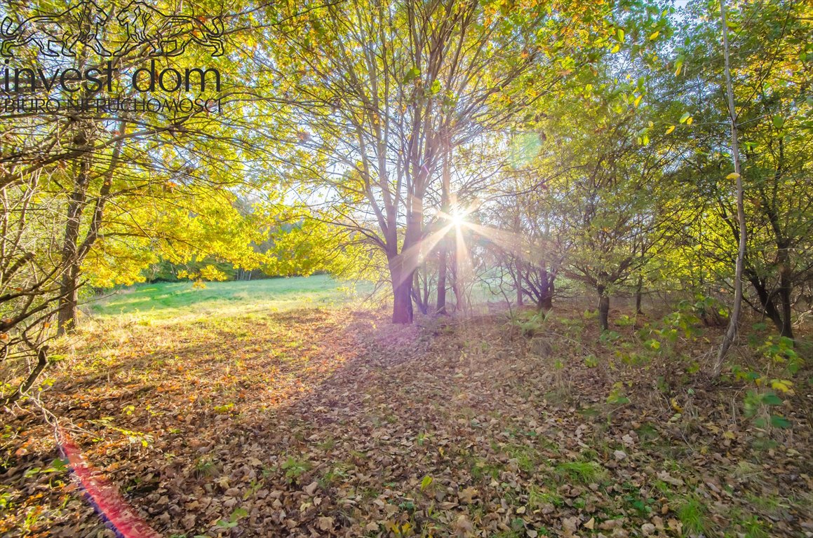 Działka budowlana na sprzedaż Gorlice  5 763m2 Foto 1