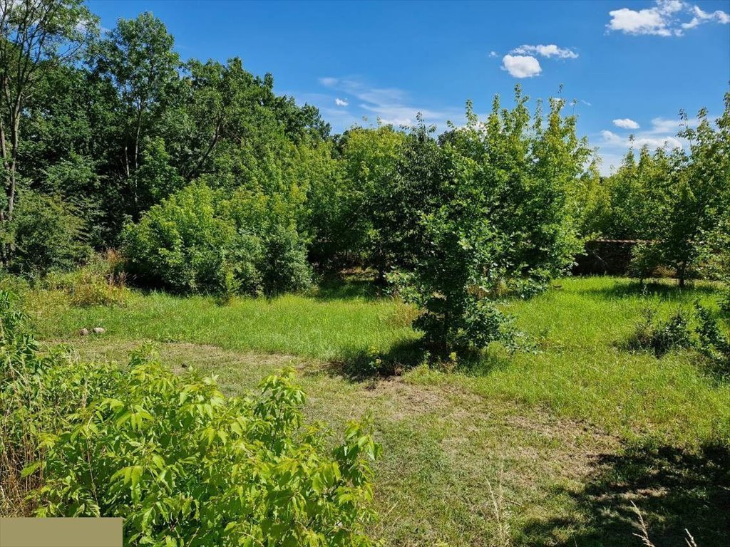 Działka budowlana na sprzedaż Kurów, Na Klifie  1 650m2 Foto 7