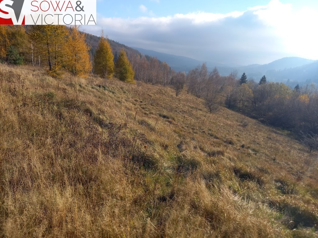 Działka budowlana na sprzedaż Jedlina-Zdrój  21 151m2 Foto 13