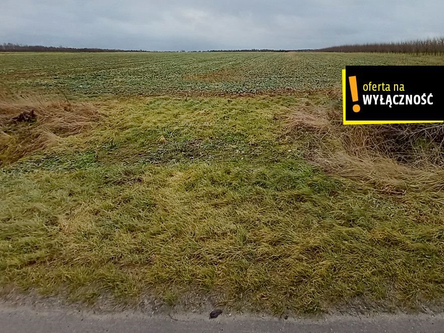 Działka budowlana na sprzedaż Rudki  9 290m2 Foto 1