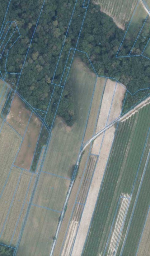 Działka rolna 10 500 m² w spokojnej okolicy polecam Bartłomiejowice  10 500m2 Foto 1