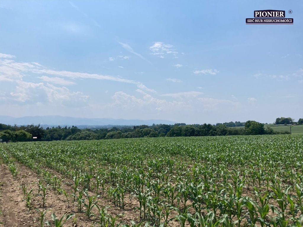 Działka budowlana na sprzedaż Zamarski  14 886m2 Foto 3