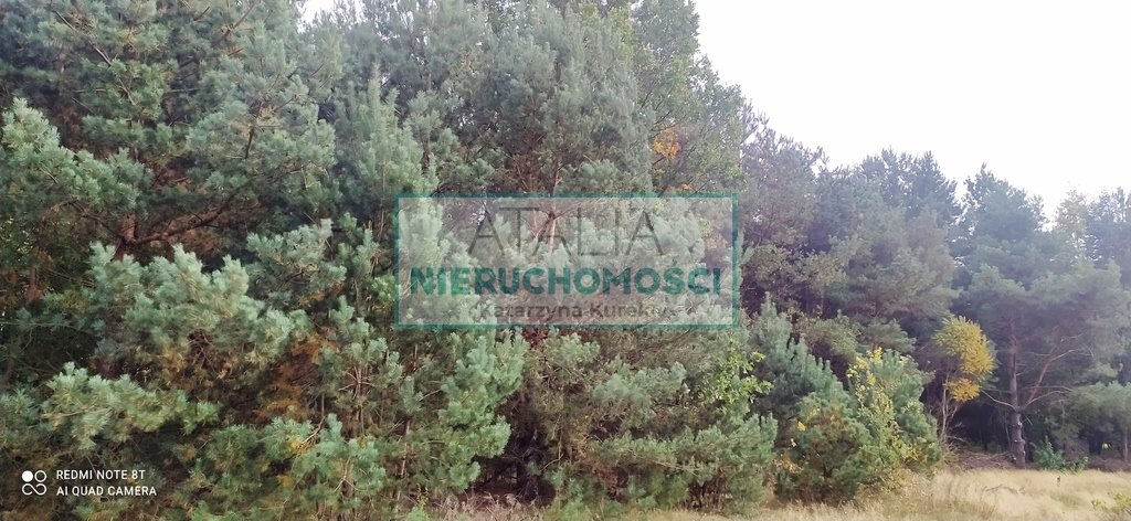 Działka 13 000 m² z sosnami, pod zabudowę, blisko Warszawy Radziejowice  13 000m2 Foto 1