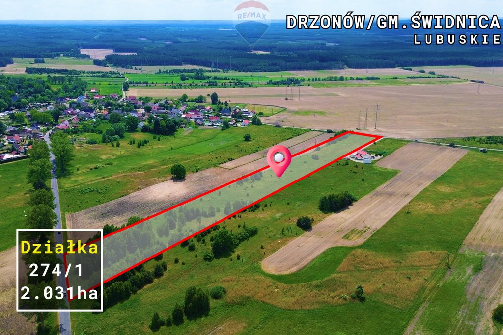 Działka rolna na sprzedaż Drzonów  20 314m2 Foto 7