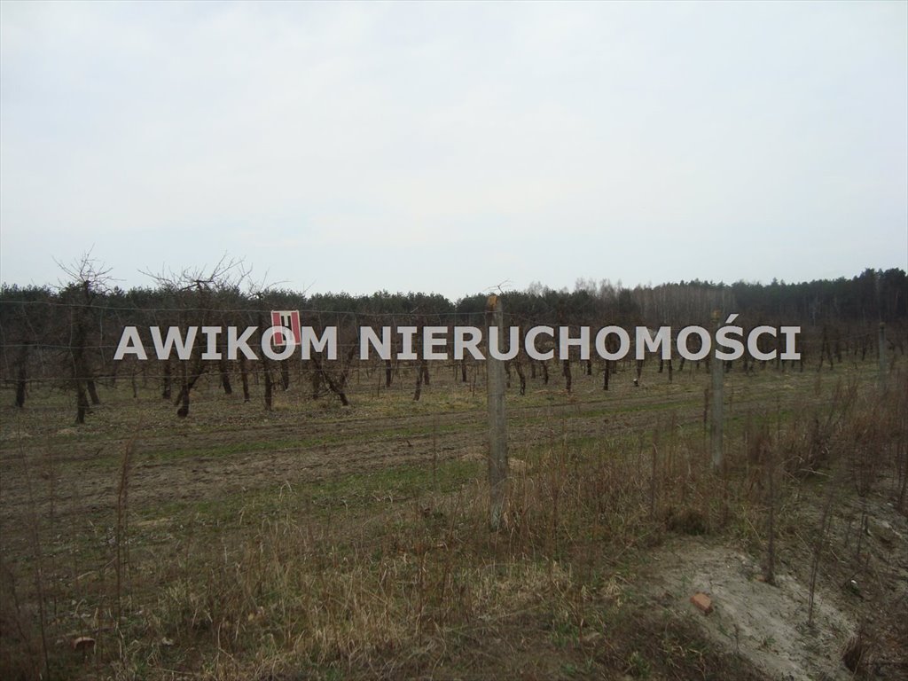 Działka rolna 32 100 m² w Many (potencjał inwestycyjny) Tarczyn, Many  32 100m2 Foto 1
