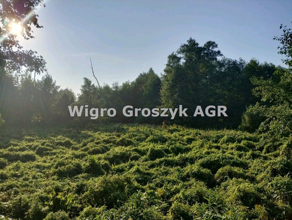 Działka 1628 m² w Leoncinie, las, media, dojazd asfalt Leoncin  1 628m2 Foto 1