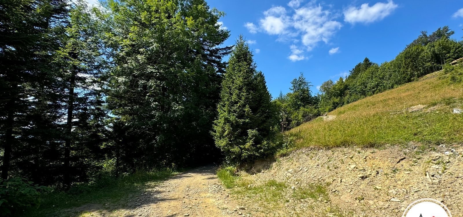 Działka rolna na sprzedaż Szczyrk, Migdalskie  4 838m2 Foto 7