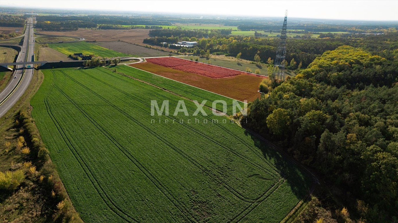 Działka budowlana na sprzedaż Wierzbica  39 538m2 Foto 15