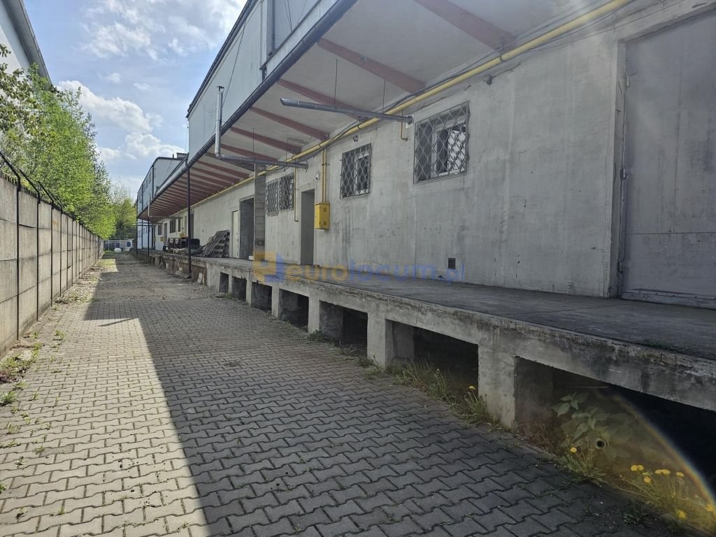 Zdjęcie 7
