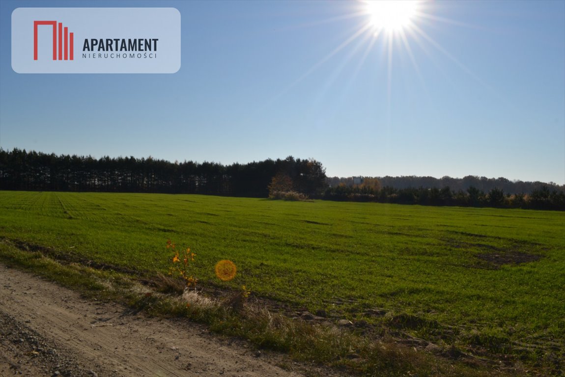 Działka inwestycyjna na sprzedaż Ramiszów  15 000m2 Foto 4